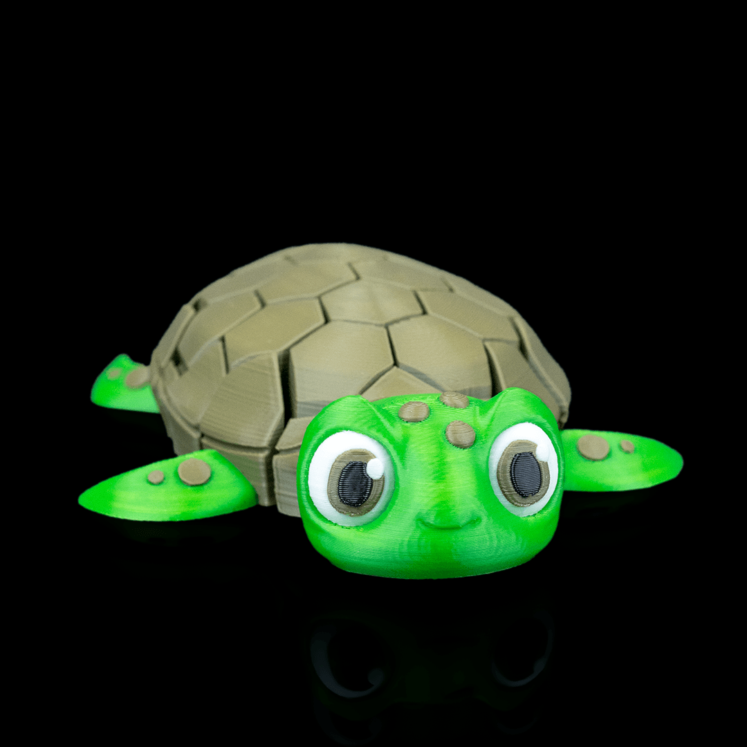 Myrtle the Turtle