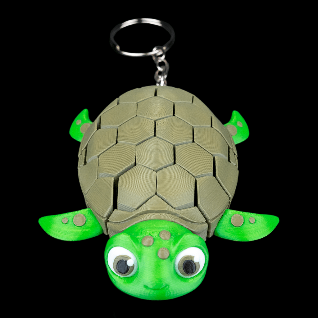 Myrtle the Turtle