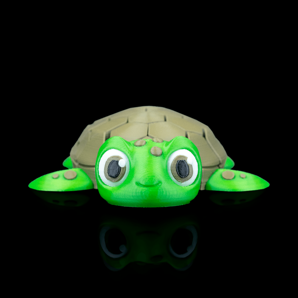 Myrtle the Turtle