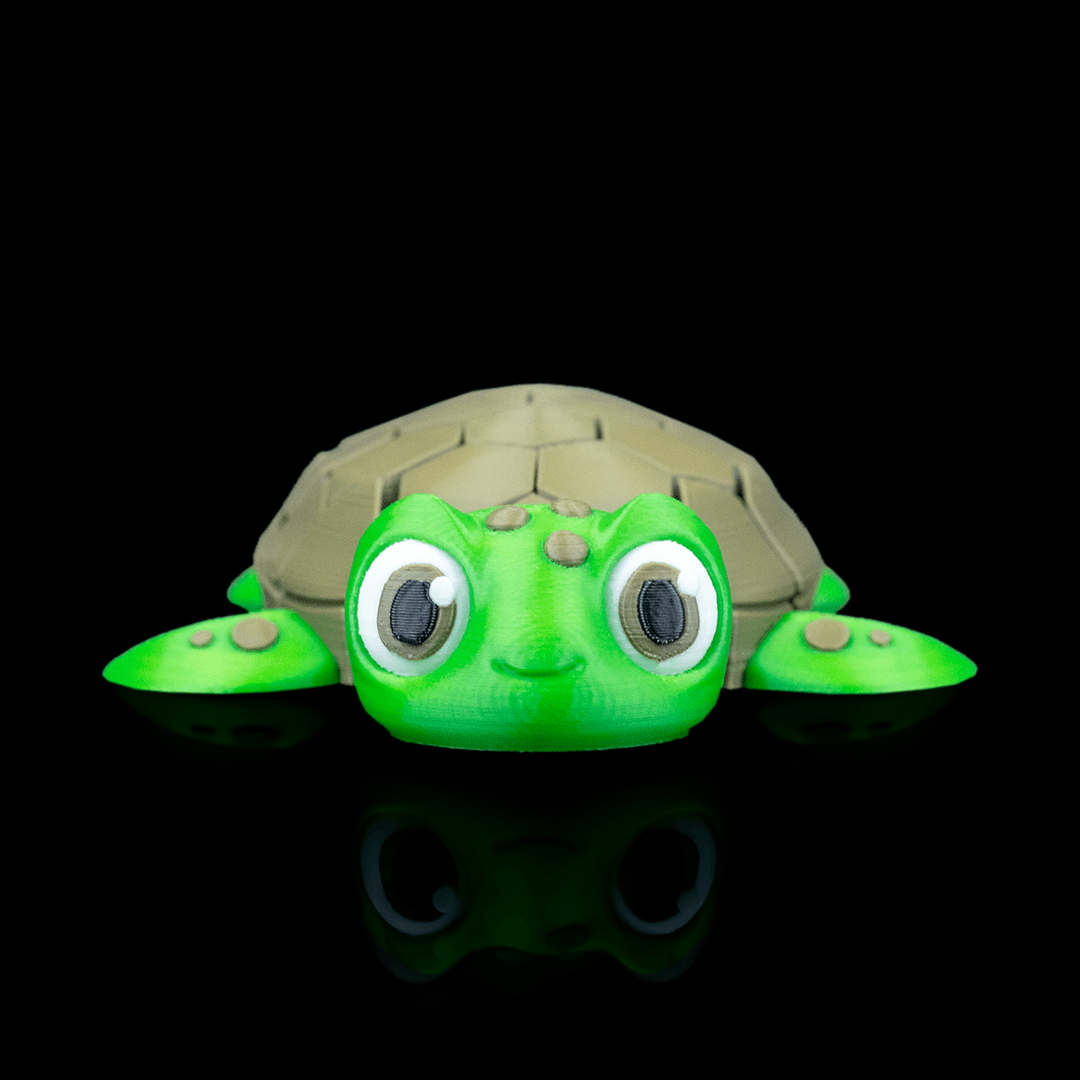 Myrtle the Turtle