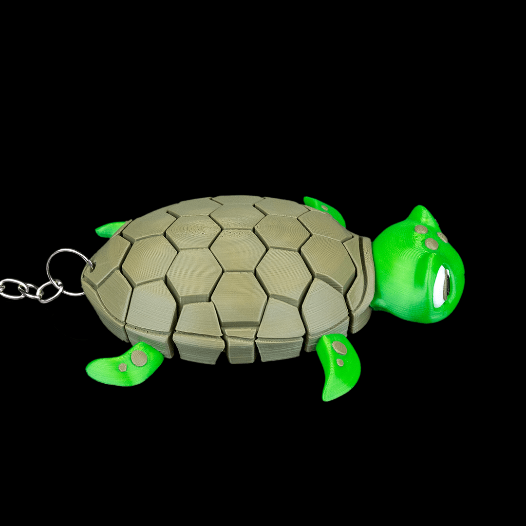 Myrtle the Turtle
