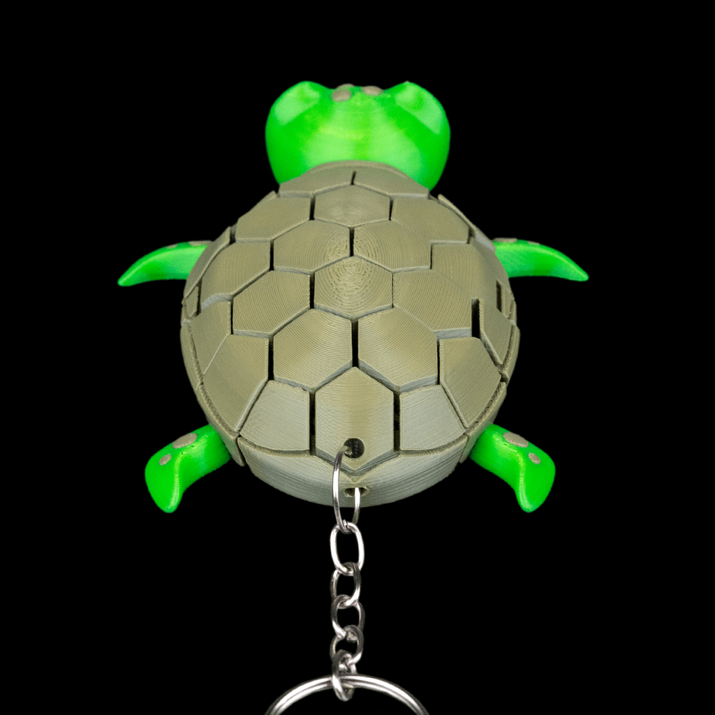 Myrtle the Turtle
