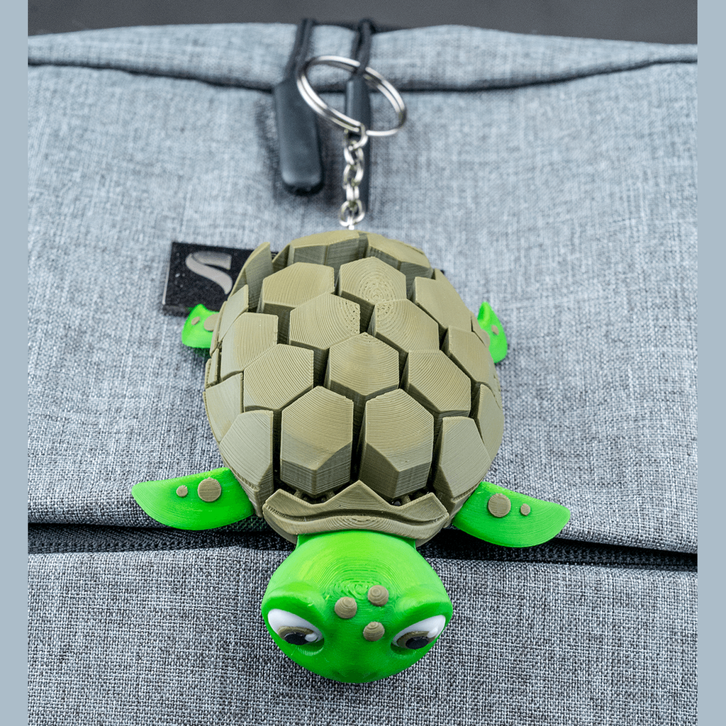 Myrtle the Turtle